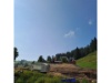 Des Alpes Rigi Klösterli